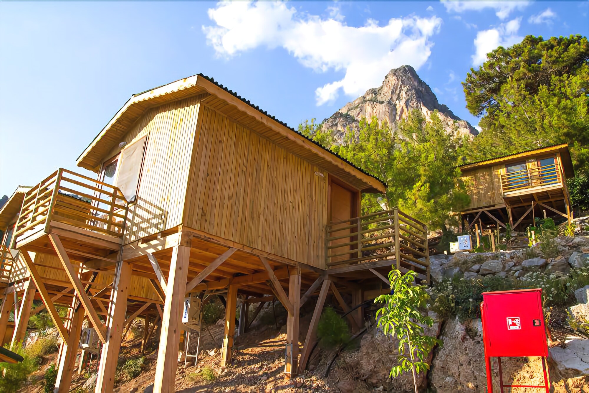 Tree Houses