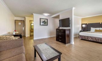 Best Western Plus South Bay Hotel