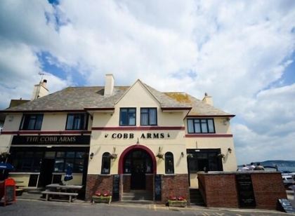 Cobb Arms