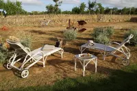 Aumallia Hotel & Spa - que admiten mascotas