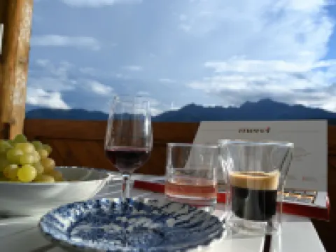 Girun Eder Hotels in Flims