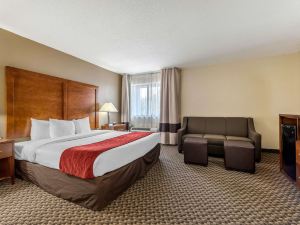 Comfort Inn South