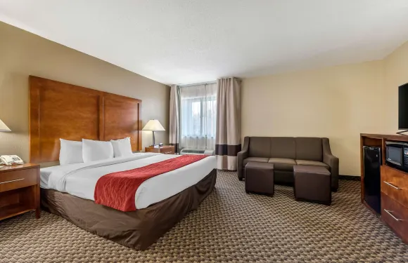 南印第安納波利斯舒適酒店