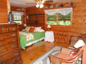 Henson Cove Place Bed and Breakfast w/Cabin