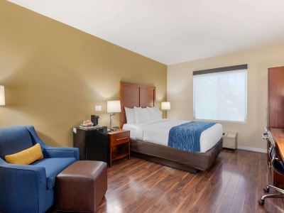 Comfort Inn & Suites Near Ontario Airport