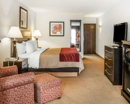 Quality Inn & Suites Farmington