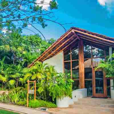 馬赫卡爾海灘前水療度假飯店 Hotel Exterior