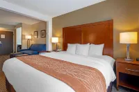Comfort Inn & Suites Wilkes Barre - Arena Hotels in Wilkes-Barre Township