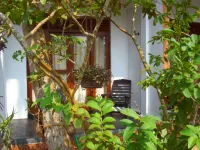 Peacock Wings Guest - 3-Star