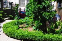 L'Opera Guest House Hotel in zona Tipsy Pub Crawl Sofia