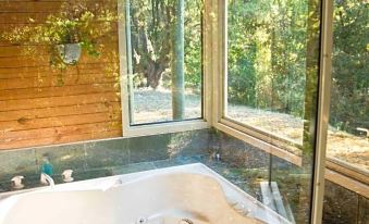 Harmony Forest Cottages & Lake Side Lodge