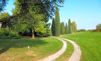 a grassy field with a dirt road running through it , surrounded by tall trees and greenery at Villa Luisa