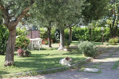 天使住宿加早餐旅館