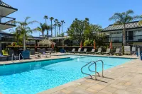 Palm Garden Hotel - Pools
