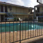 Ladybird Inn - piscina