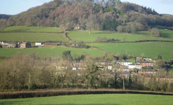 a rural landscape with a green hillside , surrounded by fields and trees , and a small village in the background at Buckley Farmhouse