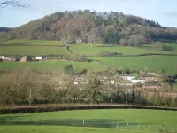 Buckley Farmhouse Bed and Breakfast - 4-Star