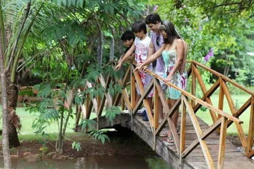 西爾維斯特公園酒店生態度假村