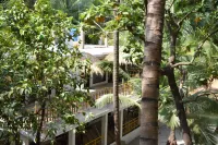 Coconut Garden Beach House Hotels in Devbag