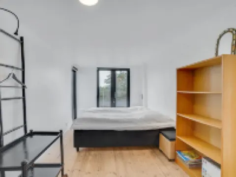 "Lok" - 90m to the Fjord