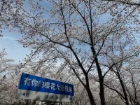 Yangzhou Xianyun Light Luxury Homestay