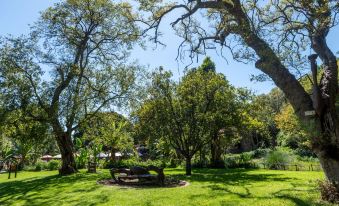 Slumberlake Guest House, Auckland Park