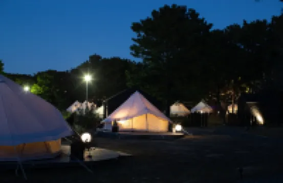 Small Planet Camp Grill