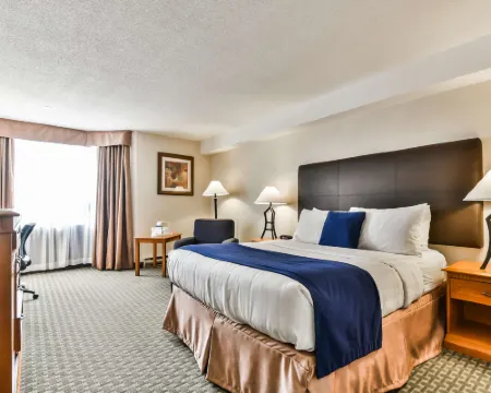 ベスト ウエスタン プラス ケンブリッジ ホテル ケンブリッジのホテル