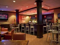 Thousand Hills Resort Hotel - bars