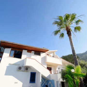 Le Palme