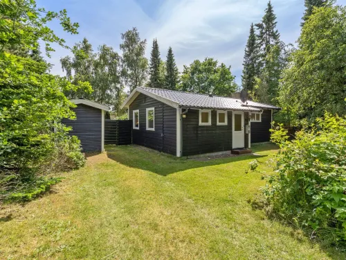"Harri" - 700m from the Sea