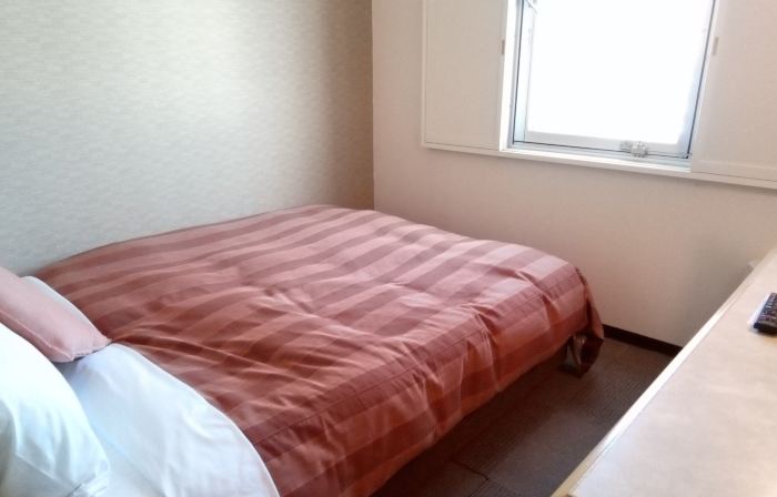 Ota Daiichi Hotel