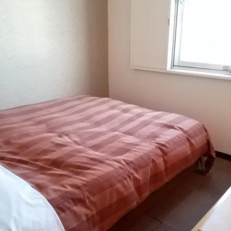 Ota Daiichi Hotel