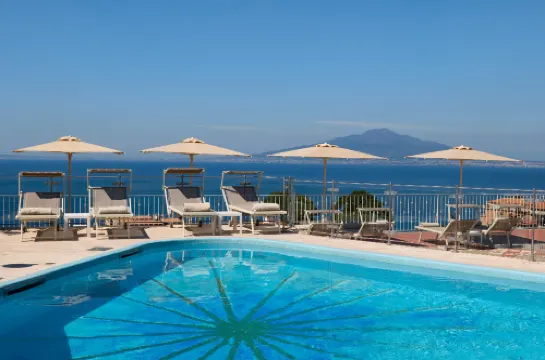 德拉威樂大酒店