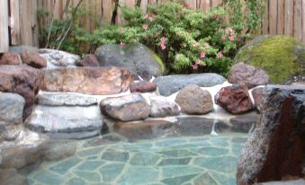 Hotel Natural Garden Nikko