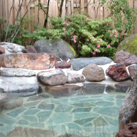Hotel Natural Garden Nikko