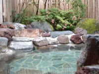 Hotel Natural Garden Nikko - Pemandian Air Panas