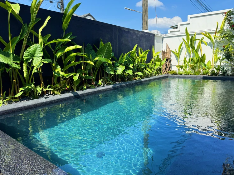 รูปภาพของContemporary 3Bd Safari Pool Villa Near Nai Yang Beach