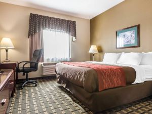 FairBridge Inn & Suites Batavia-Darien Amusement Park