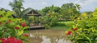 Le Cocotier Hotels in Mae Taeng District