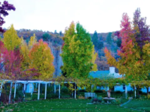 裏特亞温泉度假村 杰克遜縣酒店