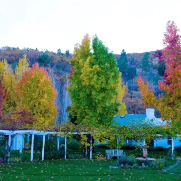 Lithia Springs Resort