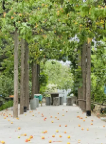 Laoshan 35 Homestay (Erlongshan Branch)