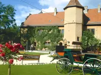 Worners Schloss Weingut & Wellness-Hotel Hotels near Freizeit-Land Geiselwind