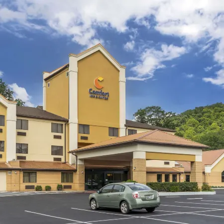 Comfort Inn & Suites LaVale - Cumberland Отели в г. Ла Вейл