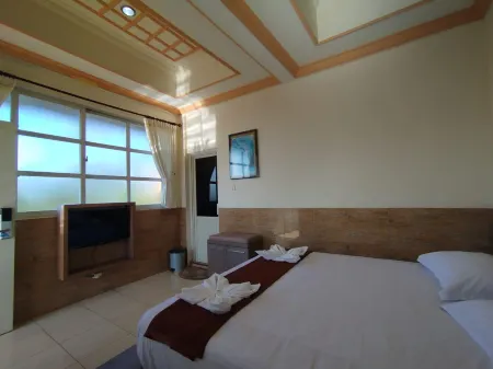 Hotel Cendrawasih Отели в г. Patrang