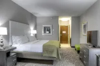 Holiday Inn Covington فنادق في مقاطعة سانت تاماني