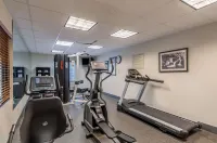 Sleep Inn & Suites Harrisonburg Near University - gimnasio