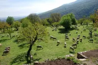 In the Heart of the Grand Luberon, a Swimming Pool, a Quiet, Comfortable Home. Hotels in Castellet