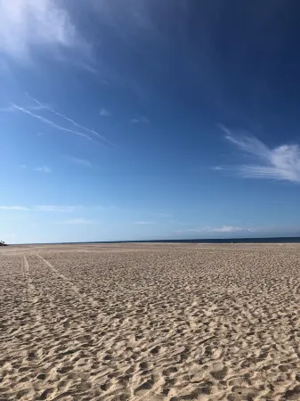 Panoramic Ocean Views - Steps from Beach and Bhi Club - Brand New Golf Carts